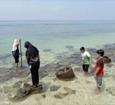 Pulau Rambut