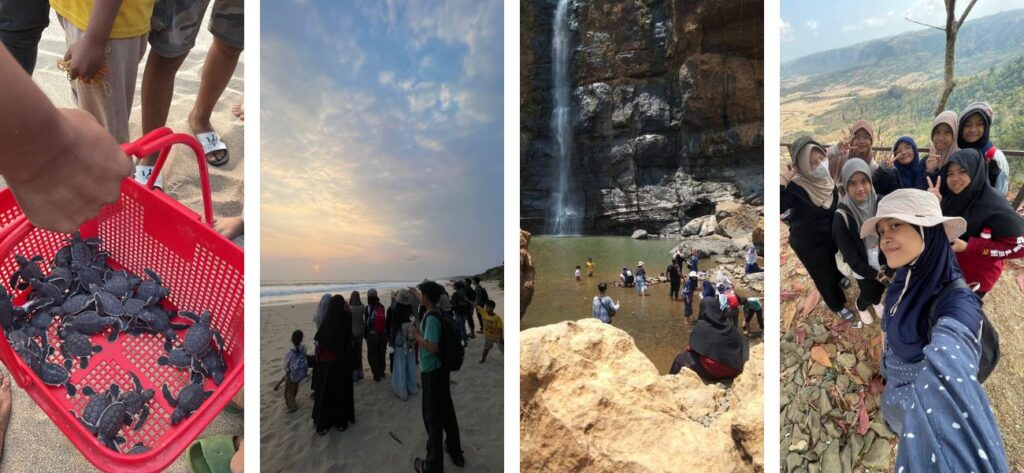 Antara Geopark dan Tukik