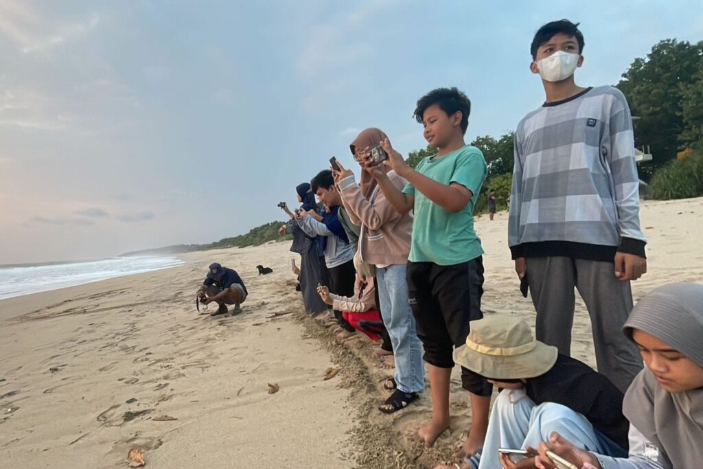 Antara Geopark dan Tukik