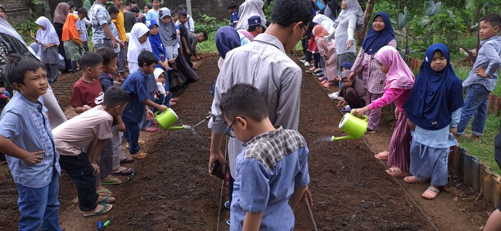 Januari SDIT Bening Menanam kangkung