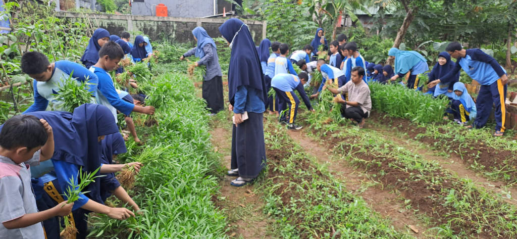 Februari SDIT Bening Panen Kangkung