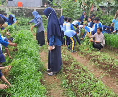 Februari SDIT Bening Panen Kangkung