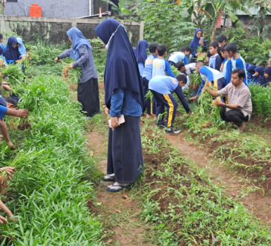 Februari SDIT Bening Panen Kangkung