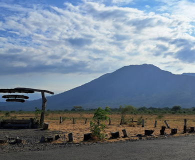 Taman Nasional Baluran_Savana Bekol_Situbondo_Sfar Jawa-Bali