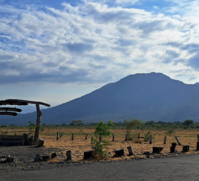 Taman Nasional Baluran_Savana Bekol_Situbondo_Sfar Jawa-Bali